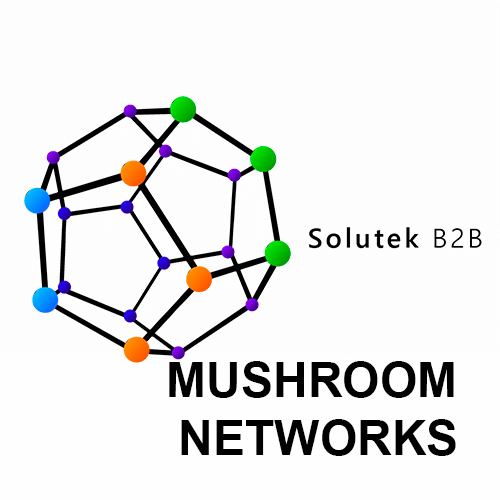 arrendamiento de routers Mushroom Networks